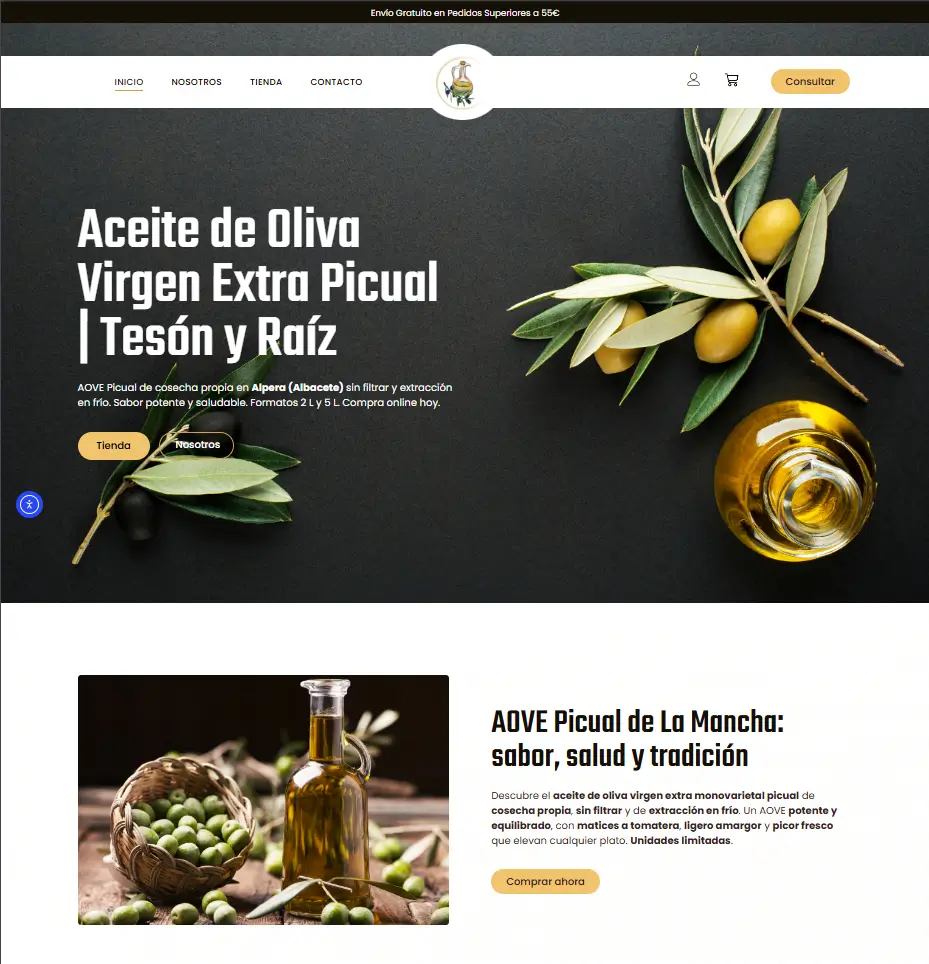 portfolio-web-tesonyraiz